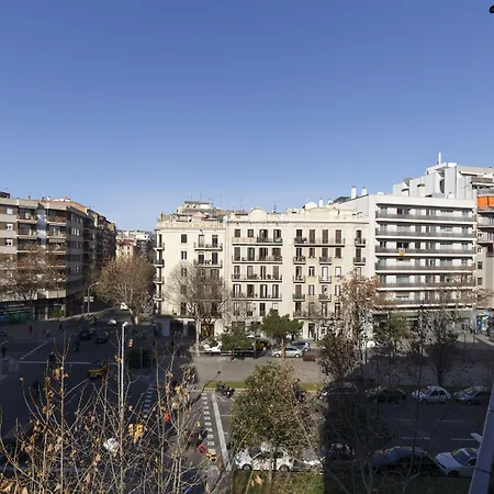 آين بي إيكزامبل-ميرو *